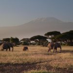 Adventure Safari Tours in Tanzania