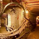 Mymodernmet duncan exploration fascinating