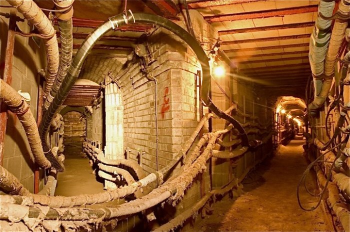 Mymodernmet duncan exploration fascinating