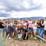 Safari Tours for Solo Travelers